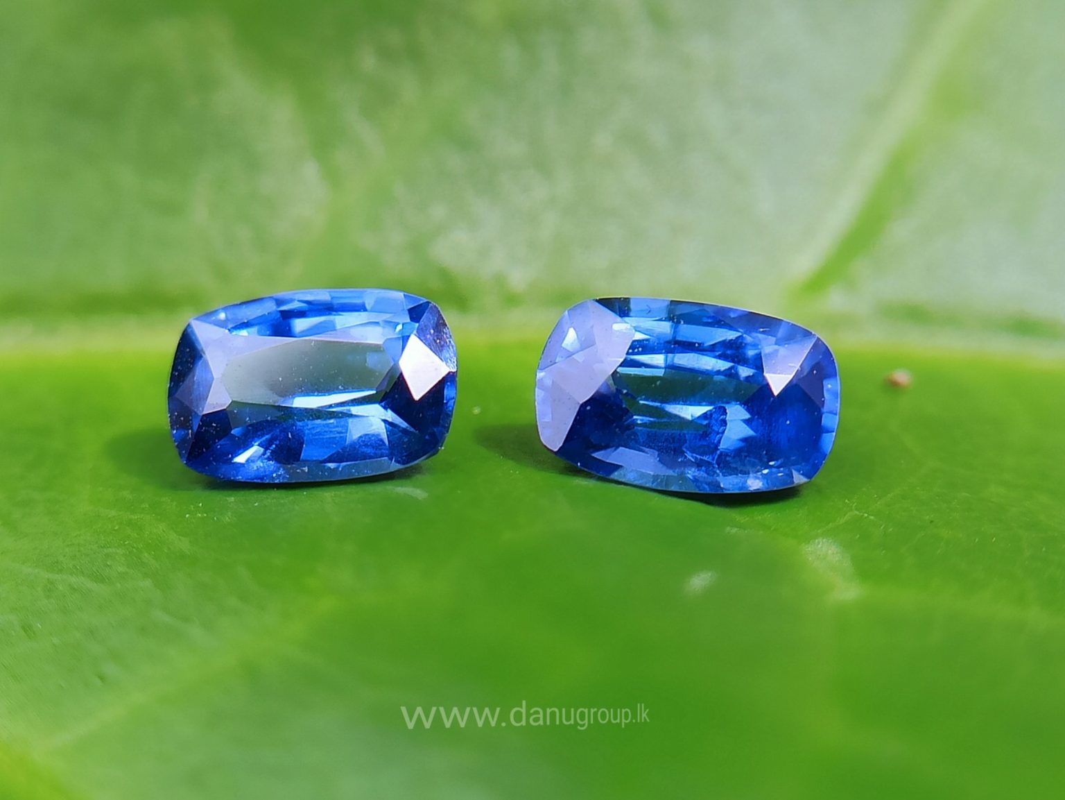 Ceylon Natural Cornflower Blue Sapphire Pair Danu Group Gemstones pair