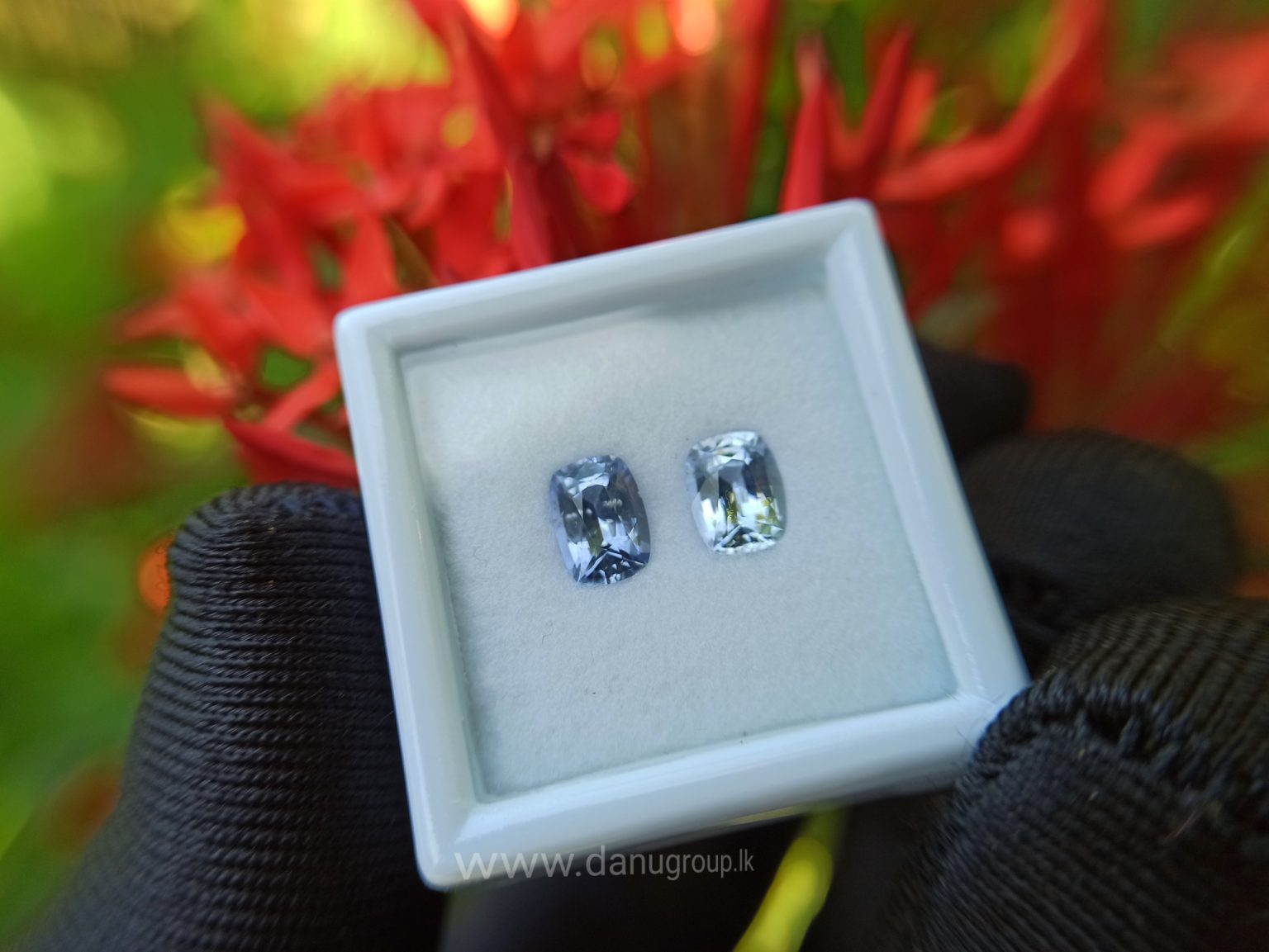 Ceylon Natural Light Blue Sapphire Pair for earrings - Danu Group Gemstones Collections