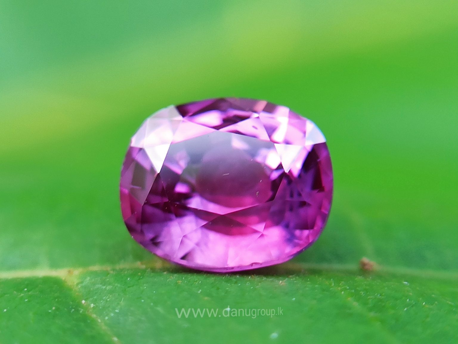 Ceylon Natural Pink Sapphire Danu Group Gemstones Collection