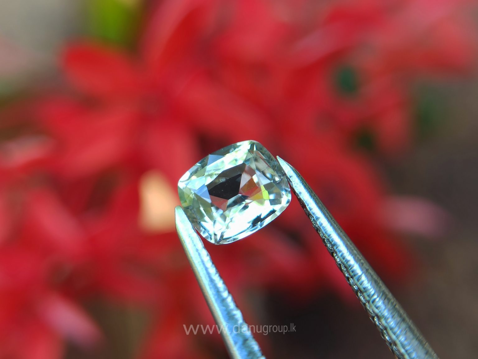 Ceylon Natural Yellow Sapphire Cushion shape Couple Danu Group Gemstones Collection