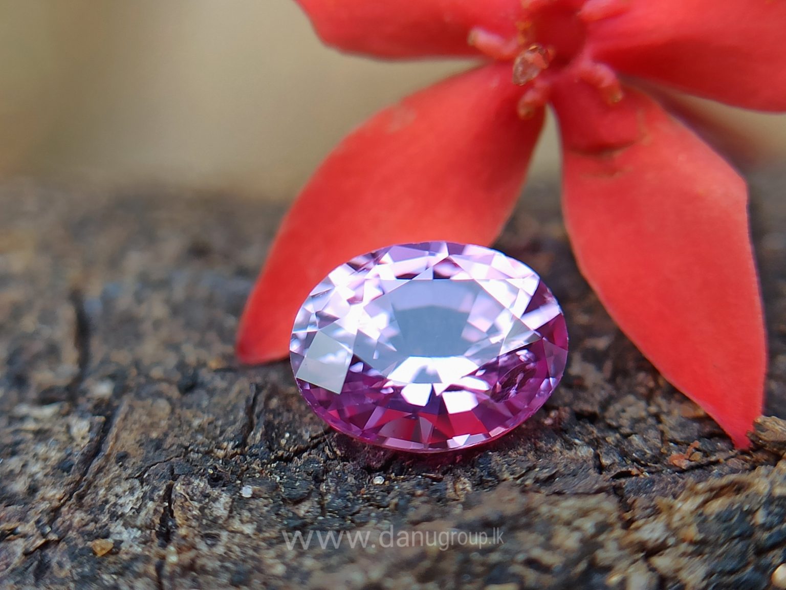 danugroup.lk - ceylon Natural pink sapphire Danu Group Gemstones Collections