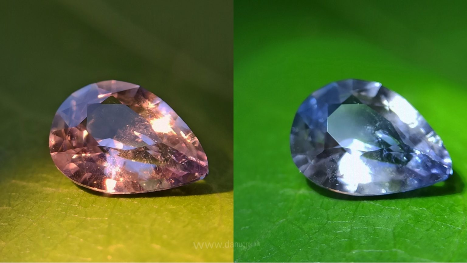 Ceylon Natural Color Change Sapphire Danu Group Gemstones