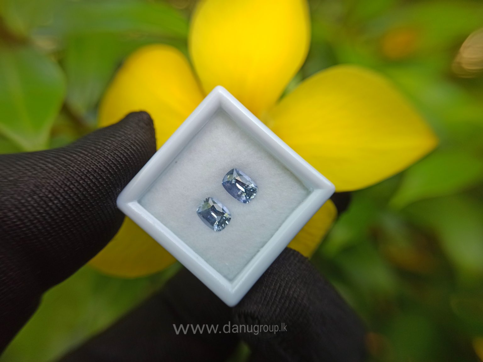 Ceylon Natural Light Blue Sapphire Pair for earrings - Danu Group Gemstones Collections