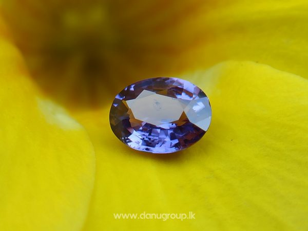 Ceylon Natural Purple Sapphire Danu Group Gemstones