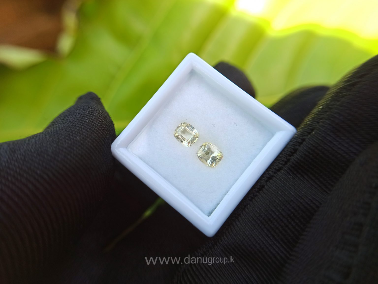 Ceylon Natural Yellow Sapphire Cushion shape Couple Danu Group Gemstones Collection