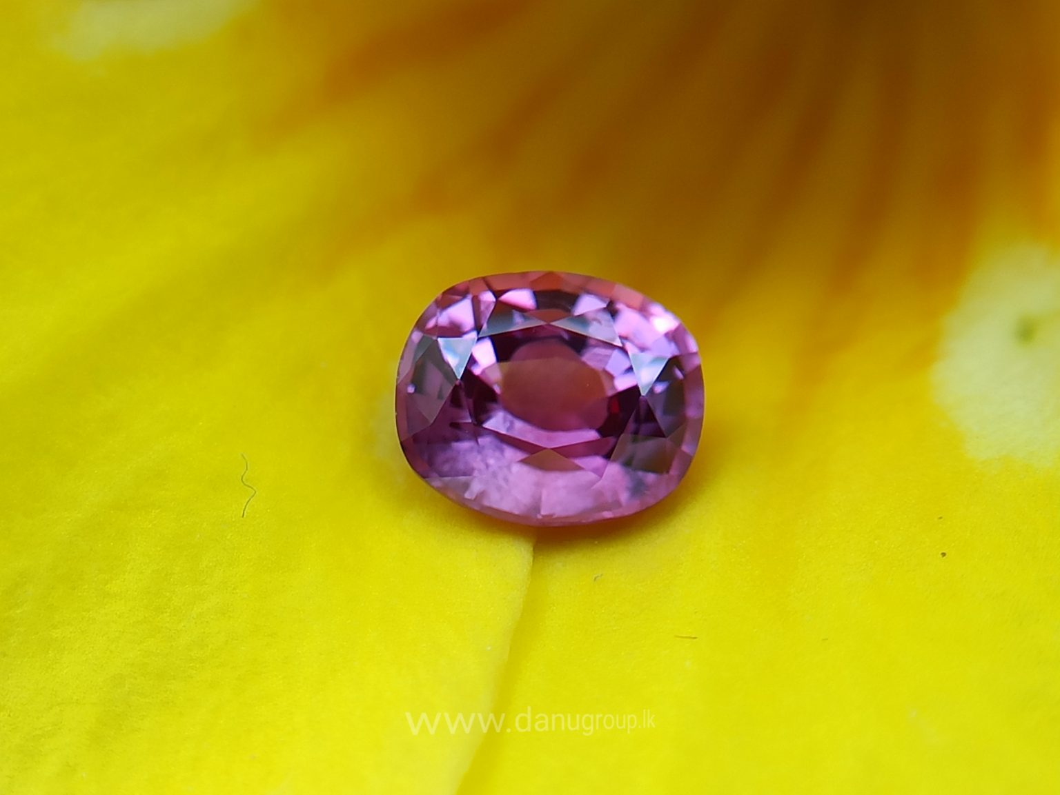 Ceylon Natural Pink Sapphire Danu Group Gemstones Collection