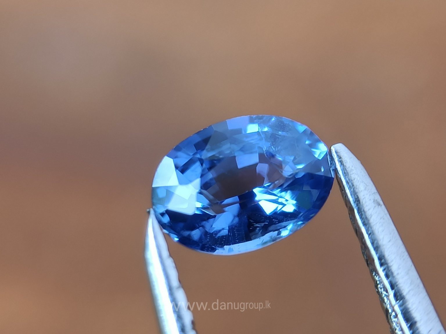 Ceylon Blue Sapphire Couple - Danu Group Gemstones