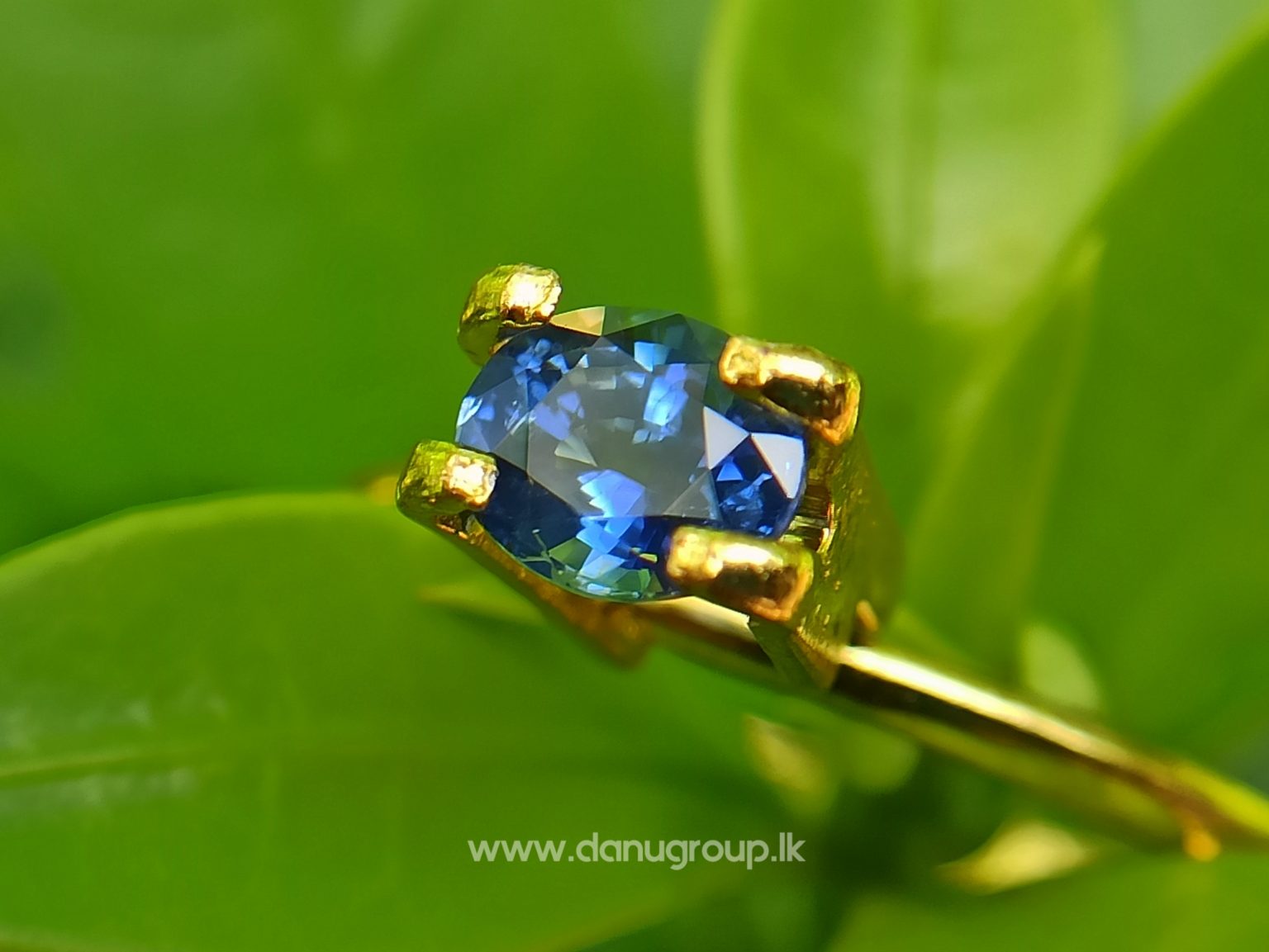 danugroup.lk - Ceylon Natural Cornflower Blue Sapphire Danu Group Gemstones Collections