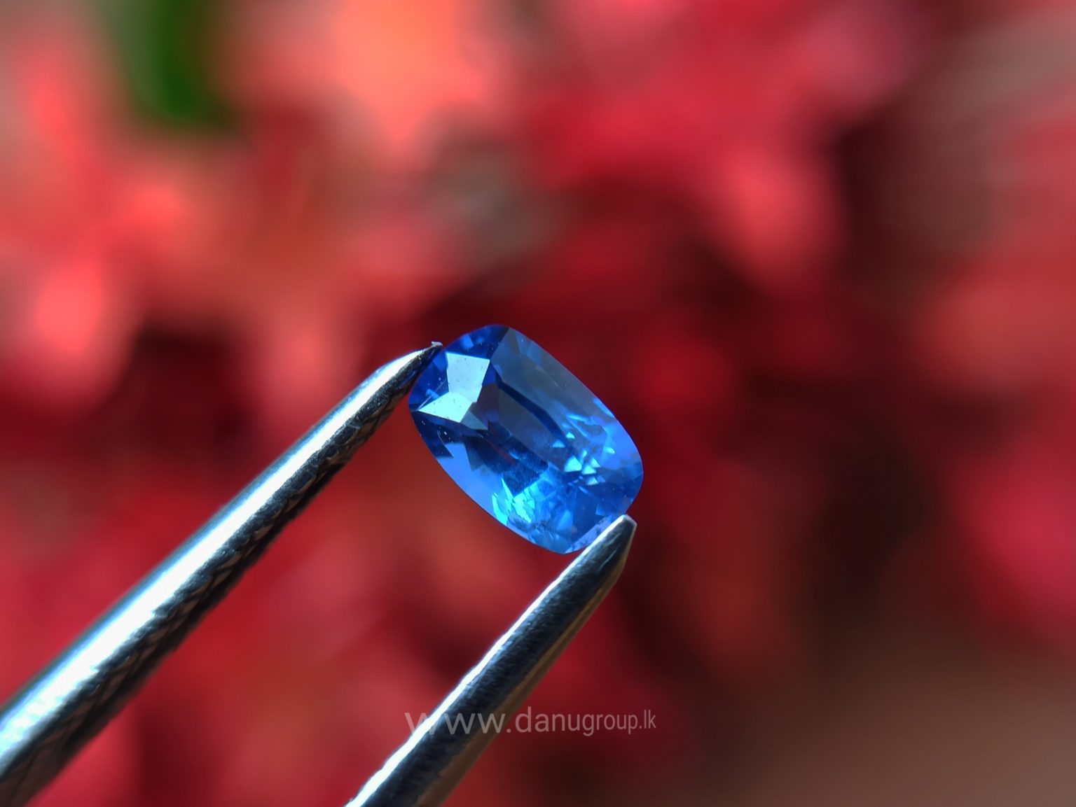 Ceylon Natural Cornflower Blue Sapphire Pair Danu Group Gemstones pair