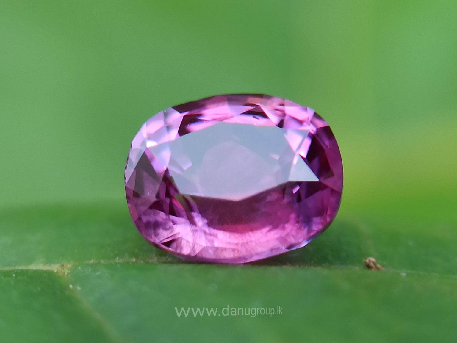 Ceylon Natural Pink Sapphire Danu Group Gemstones Collection