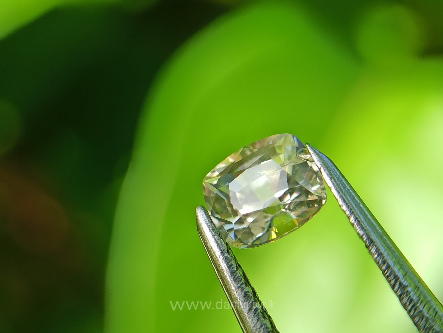 Ceylon Natural Yellow Sapphire Cushion shape Couple Danu Group Gemstones Collection