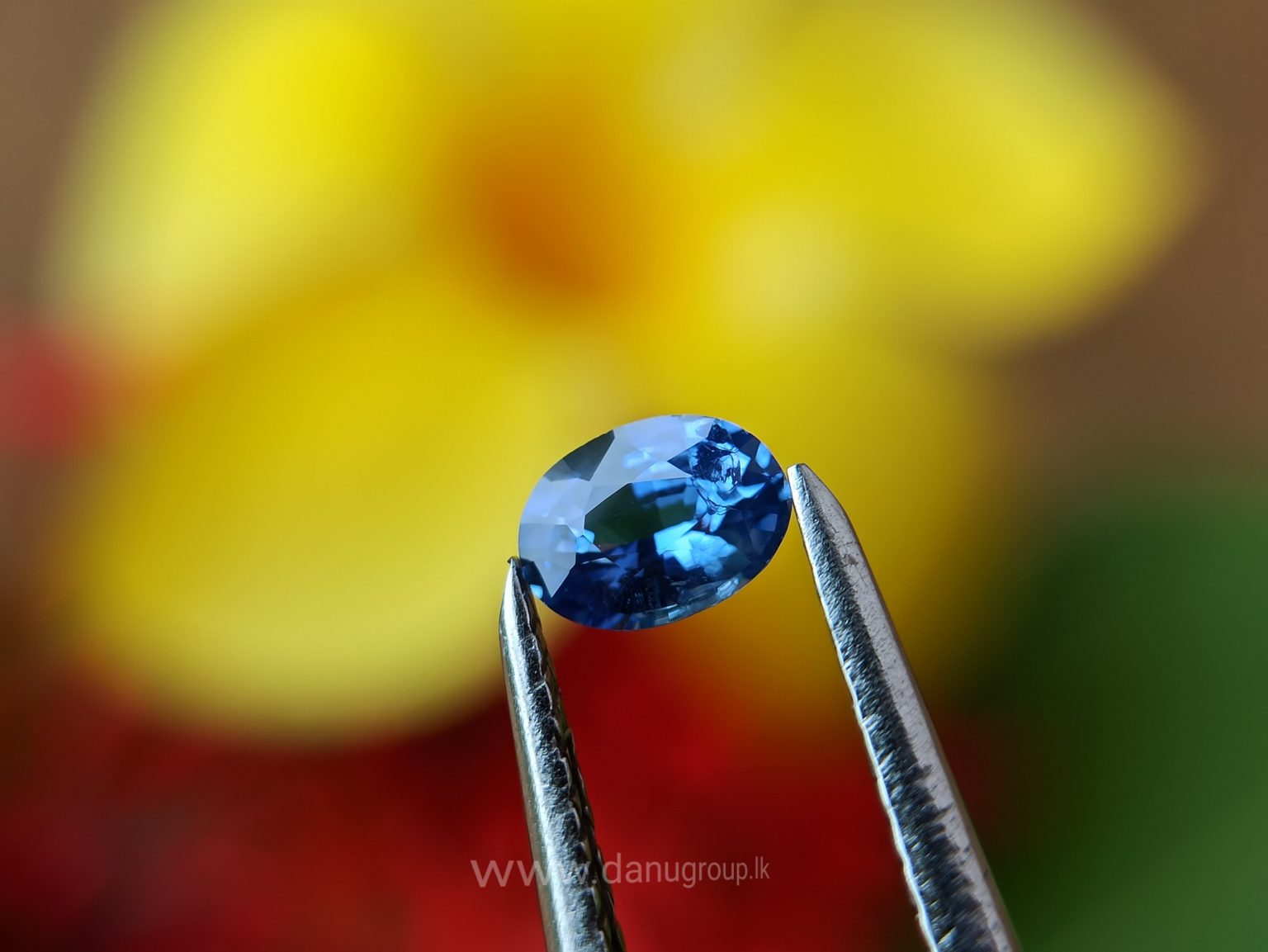 Ceylon Blue Sapphire Couple - Danu Group Gemstones