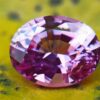 danugroup.lk - ceylon Natural pink sapphire Danu Group Gemstones Collections