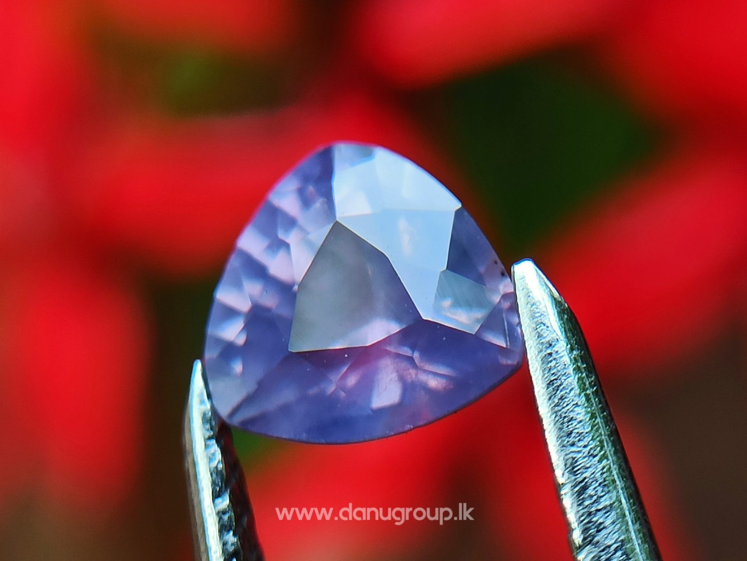 danugroup.lk - natural purple and yellow sapphire from Danu Group Fancy Sapphire couple