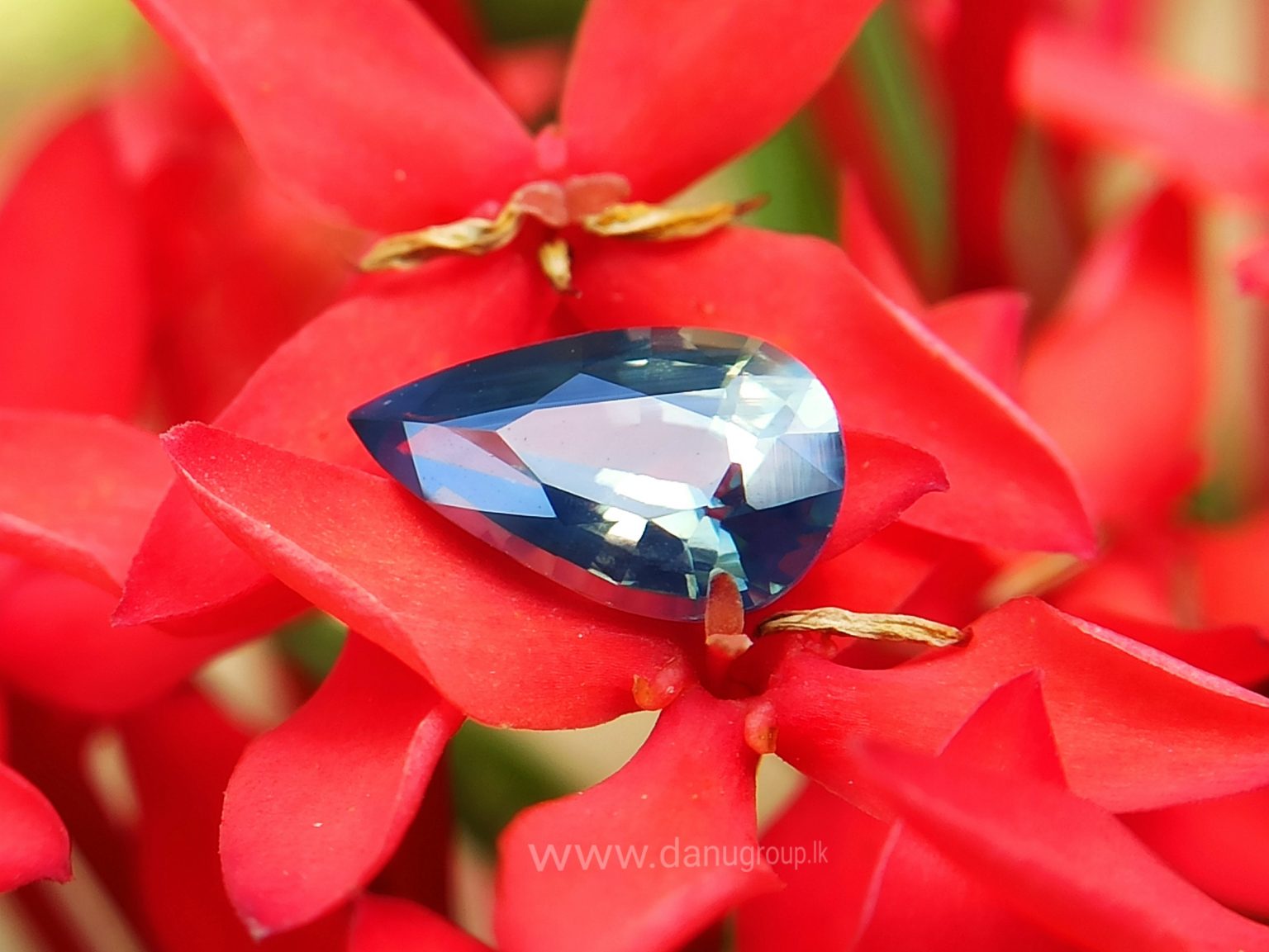 natural bi colour Sapphire pear danu group Gemstones