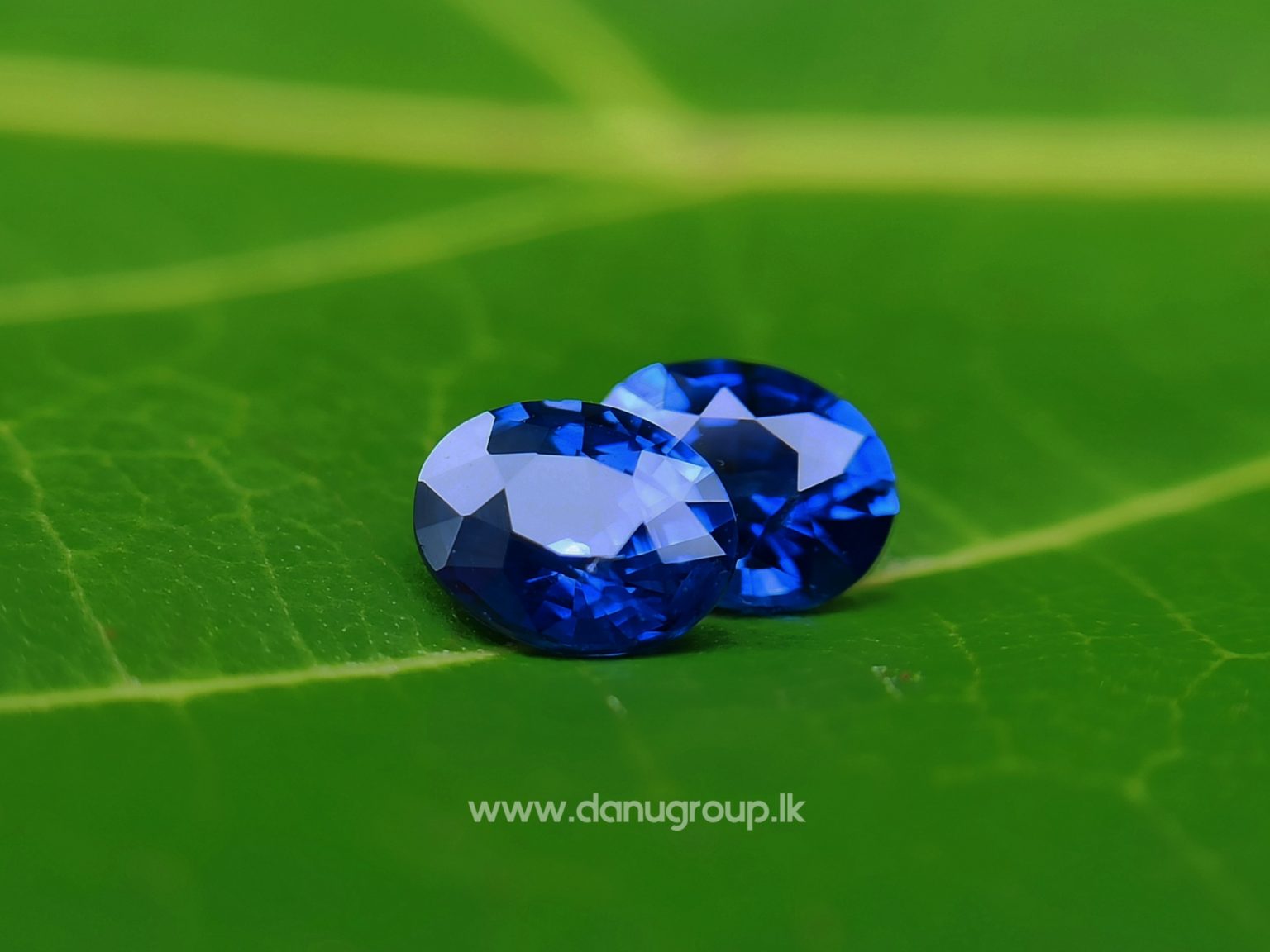 Ceylon Natural Vivid Royal Blue Sapphire Pair Danu Group Gemstones Collection - danugroup.lk