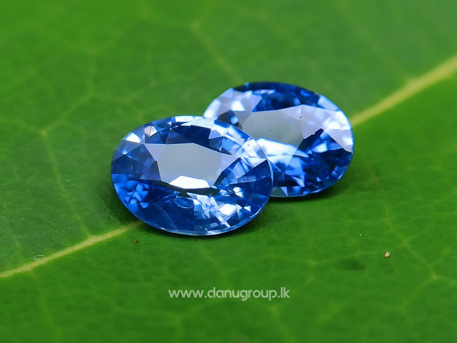 Ceylon Natural Blue Sapphire Pair for Earrings - danugroup.lk