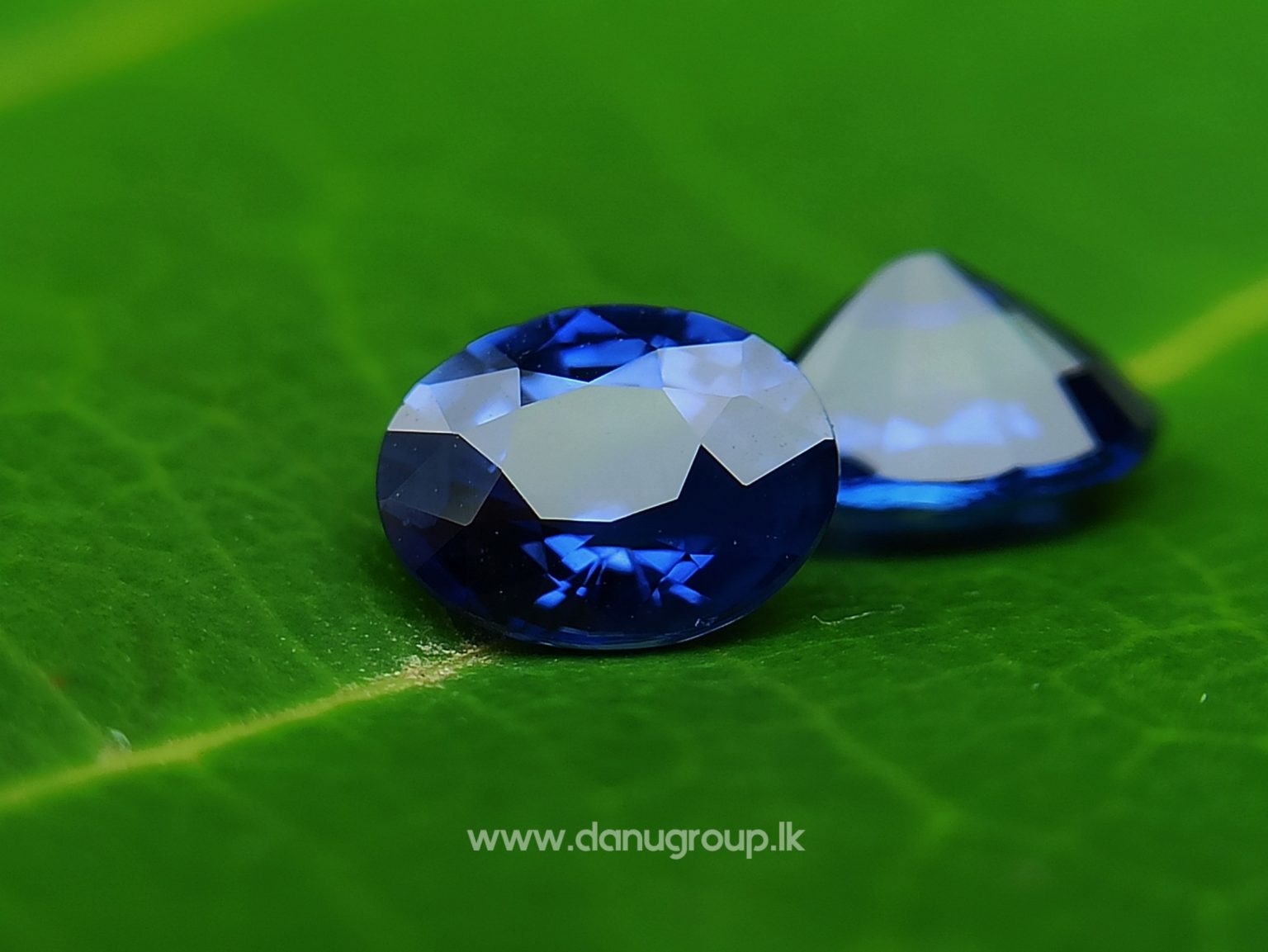 Ceylon Natural Vivid Royal Blue Sapphire Pair Danu Group Gemstones Collection - danugroup.lk