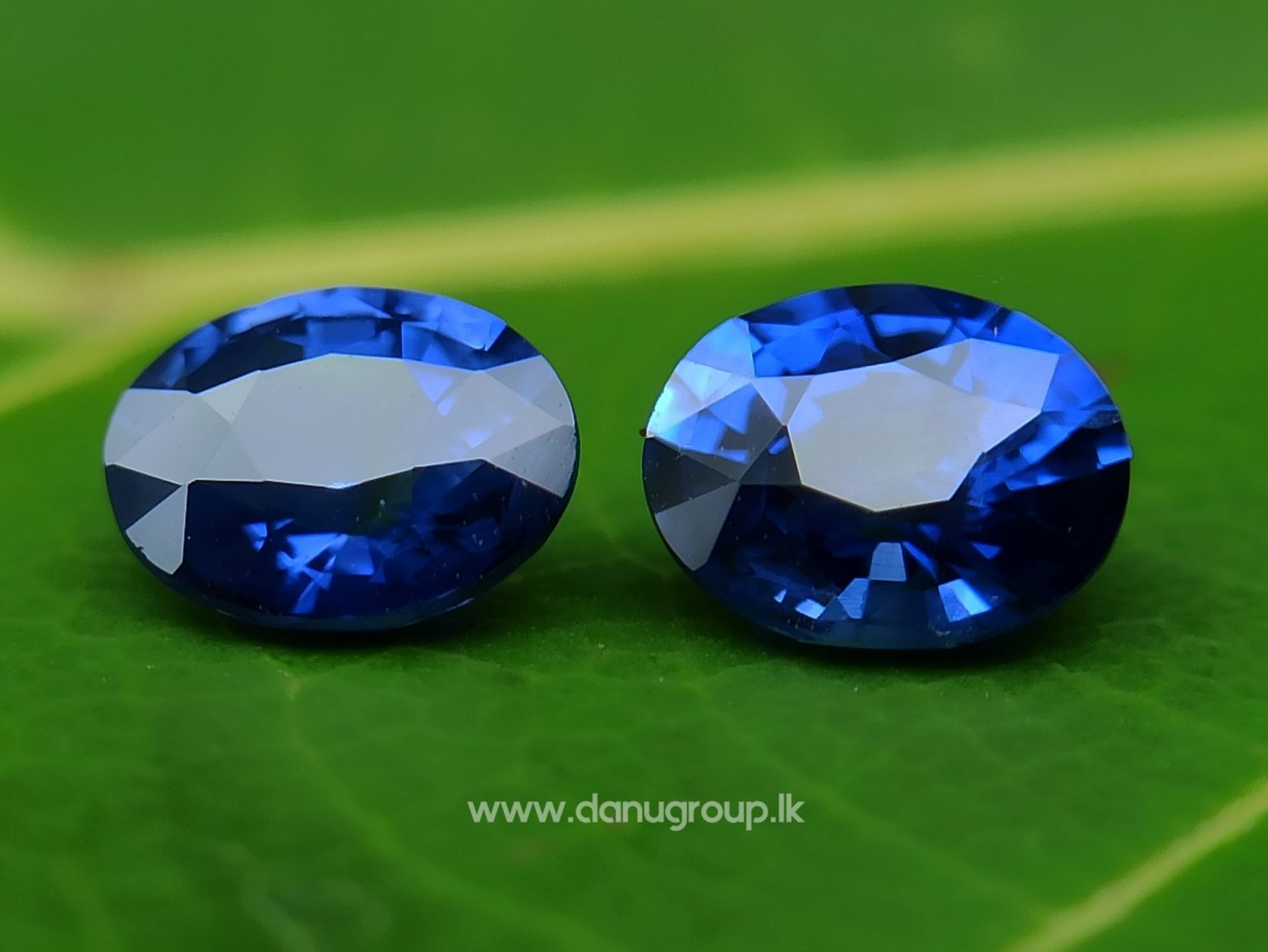 Ceylon Natural Vivid Royal Blue Sapphire Pair Danu Group Gemstones Collection - danugroup.lk