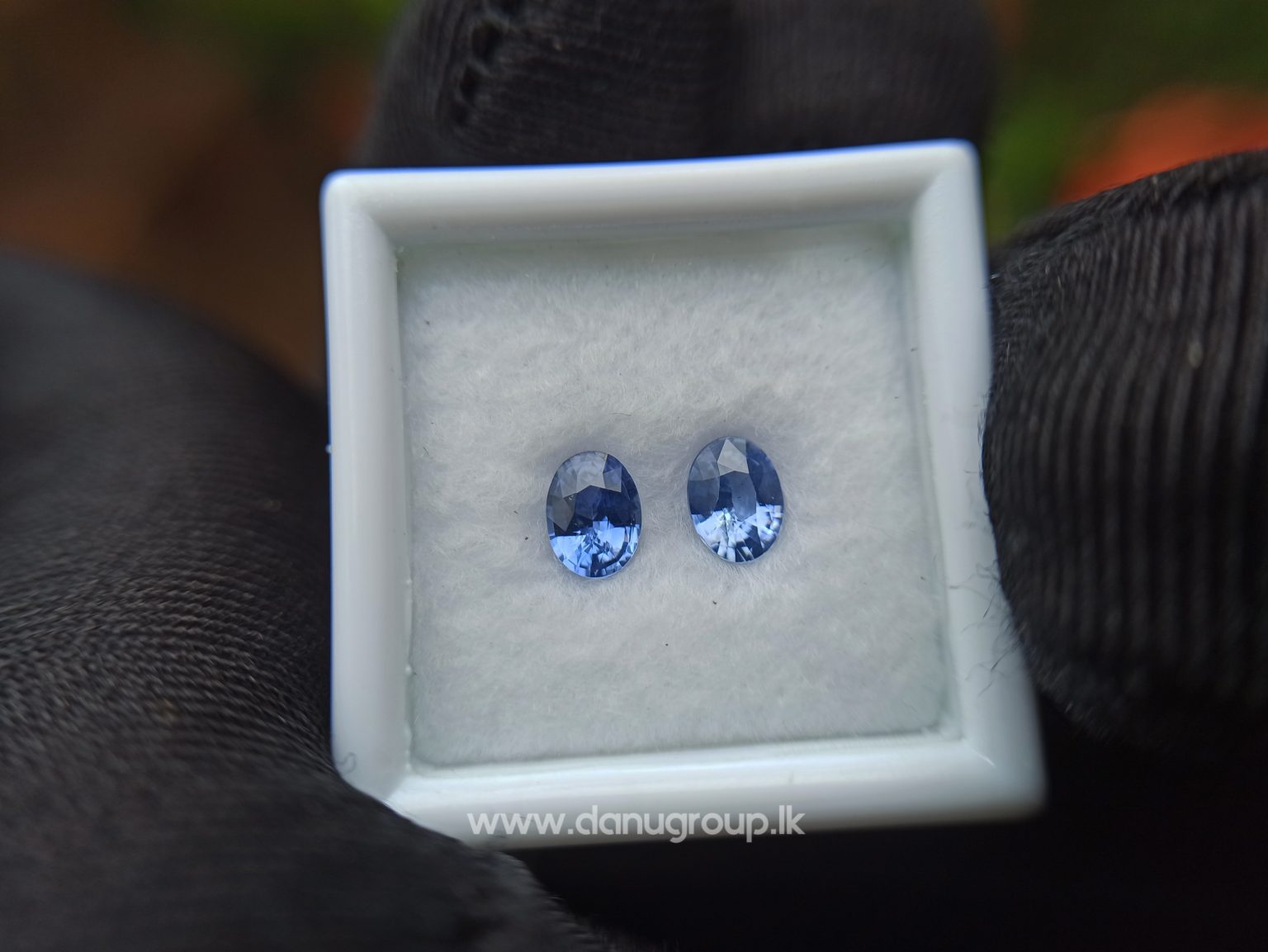 Ceylon Natural Blue Sapphire Pair for Earrings - danugroup.lk
