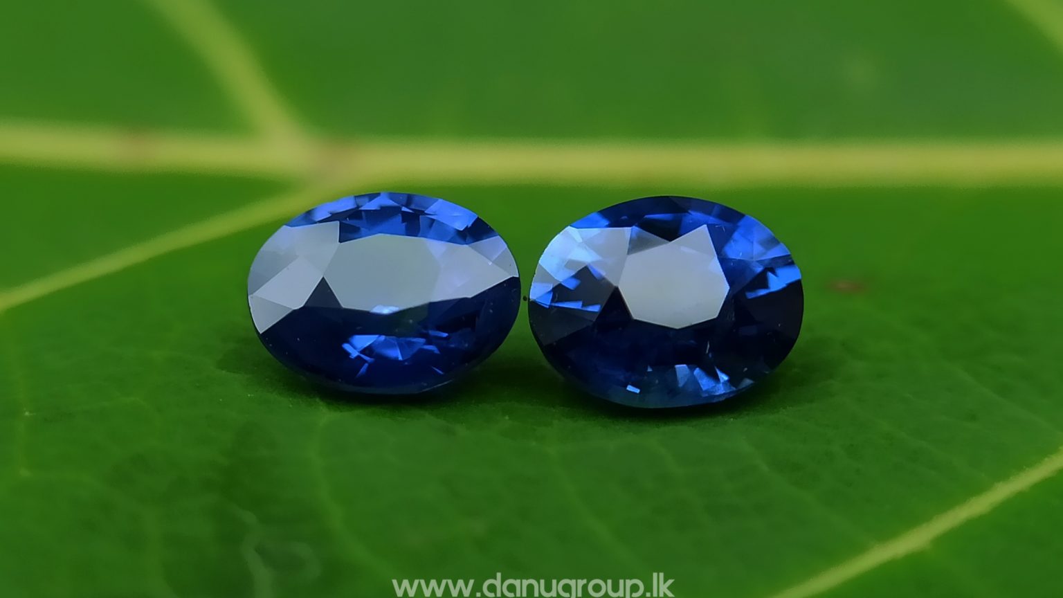 Ceylon Natural Vivid Royal Blue Sapphire Pair Danu Group Gemstones Collection - danugroup.lk