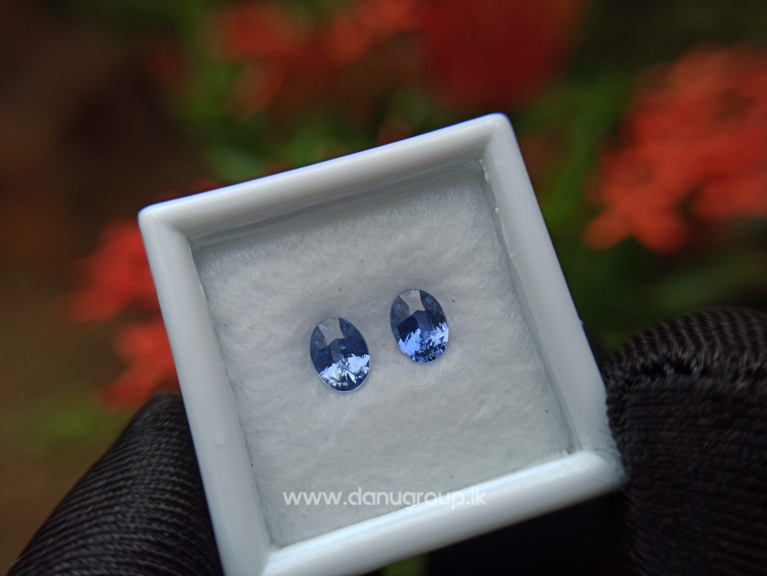 Ceylon Natural Blue Sapphire Pair for Earrings - danugroup.lk
