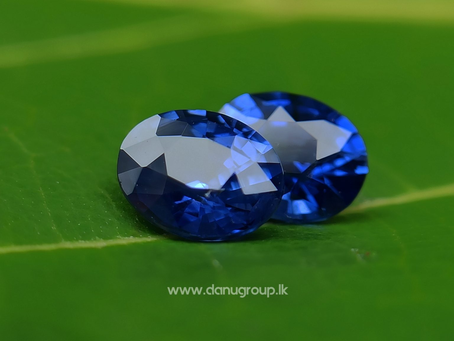 Ceylon Natural Vivid Royal Blue Sapphire Pair Danu Group Gemstones Collection - danugroup.lk