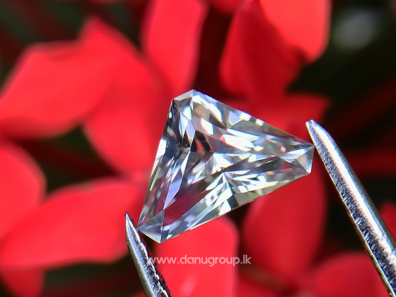 danugroup.lk - Ceylon Natural Bi-Color Sapphire from Danu Group Gemstones Collections