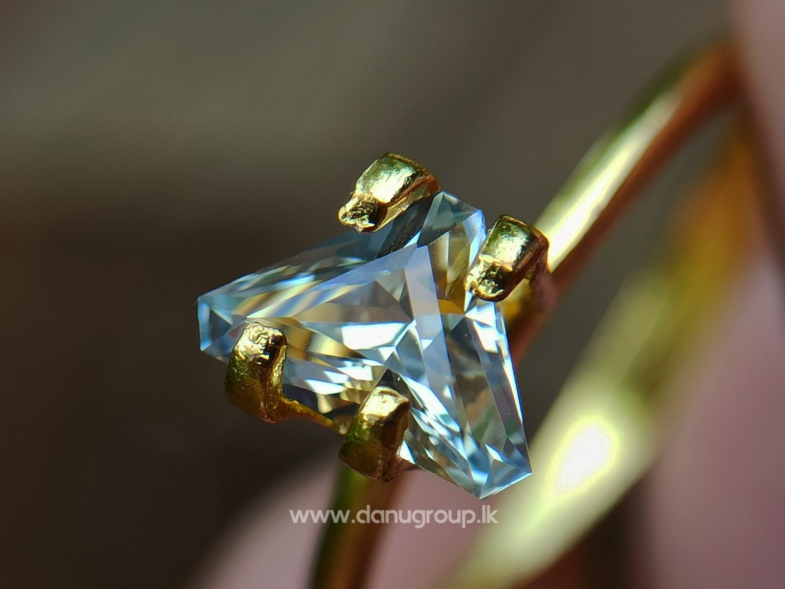 danugroup.lk - Ceylon Natural Bi-Color Sapphire from Danu Group Gemstones Collections