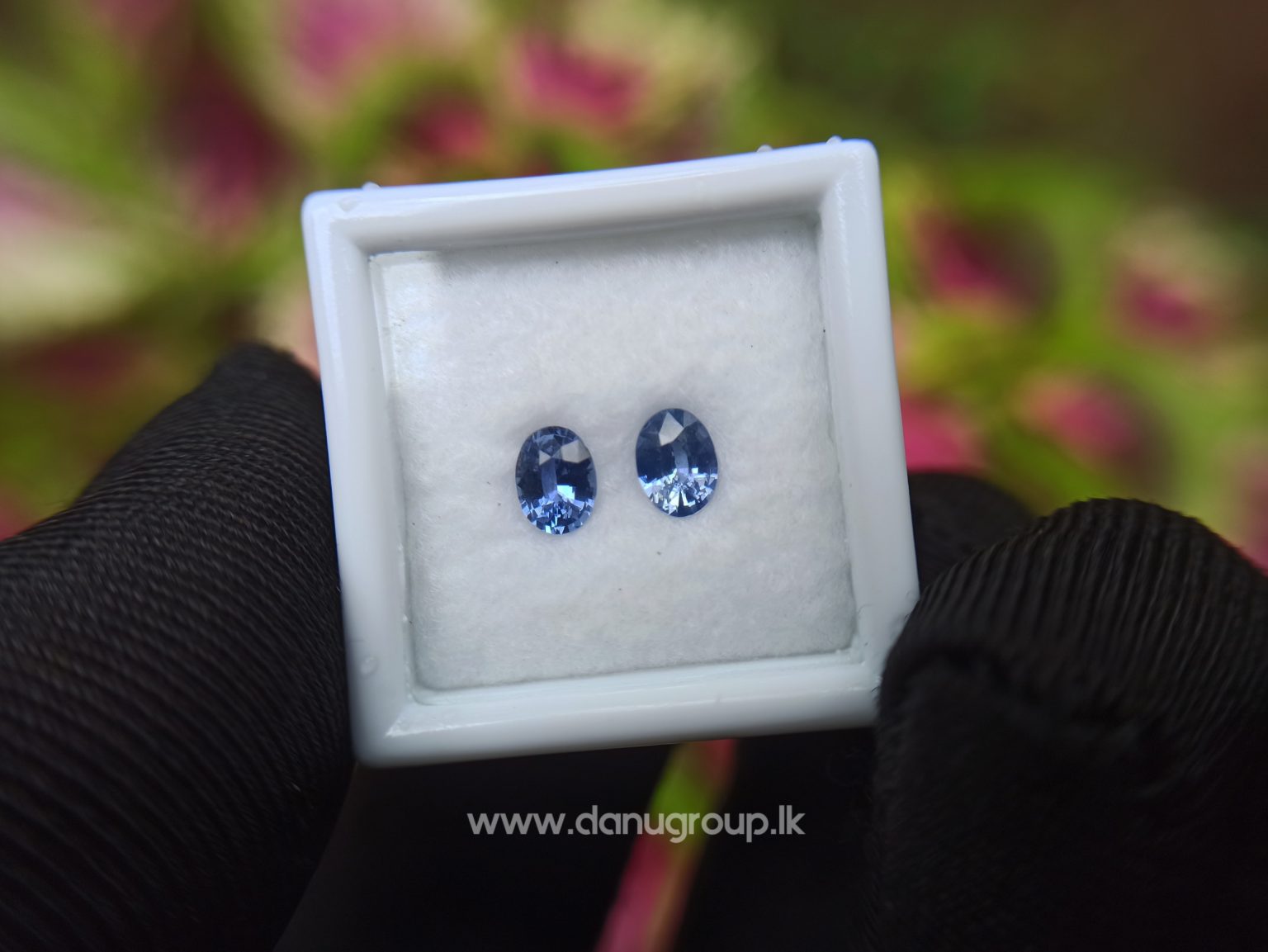 Ceylon Natural Blue Sapphire Pair for Earrings - danugroup.lk