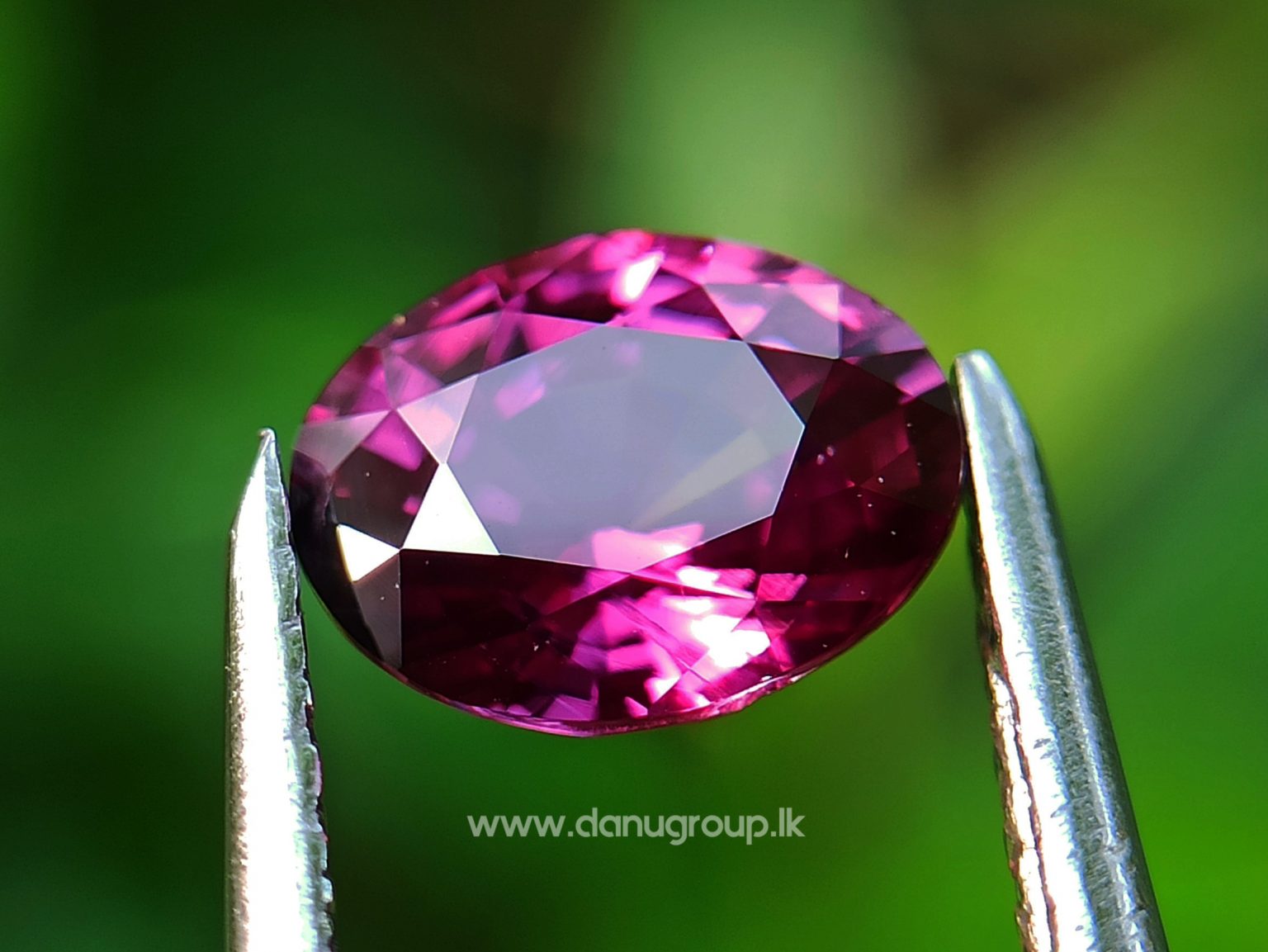 Natural Ruby King of the gems Danu group Gemstones Collection