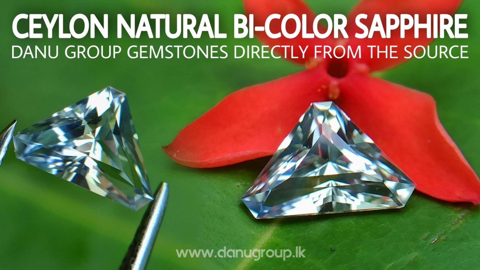danugroup.lk - Ceylon Natural Bi-Color Sapphire from Danu Group Gemstones Collections