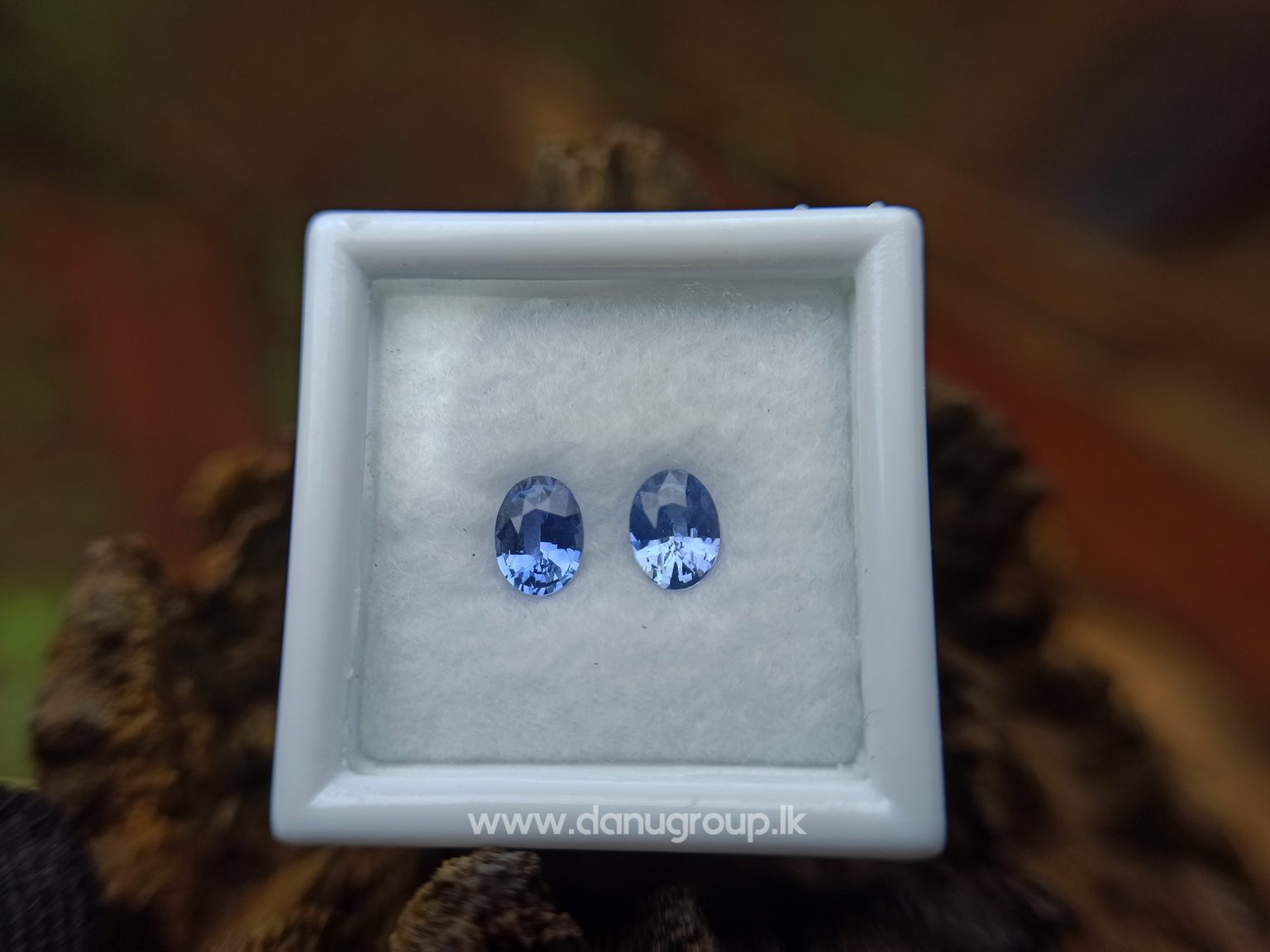 Ceylon Natural Blue Sapphire Pair for Earrings - danugroup.lk
