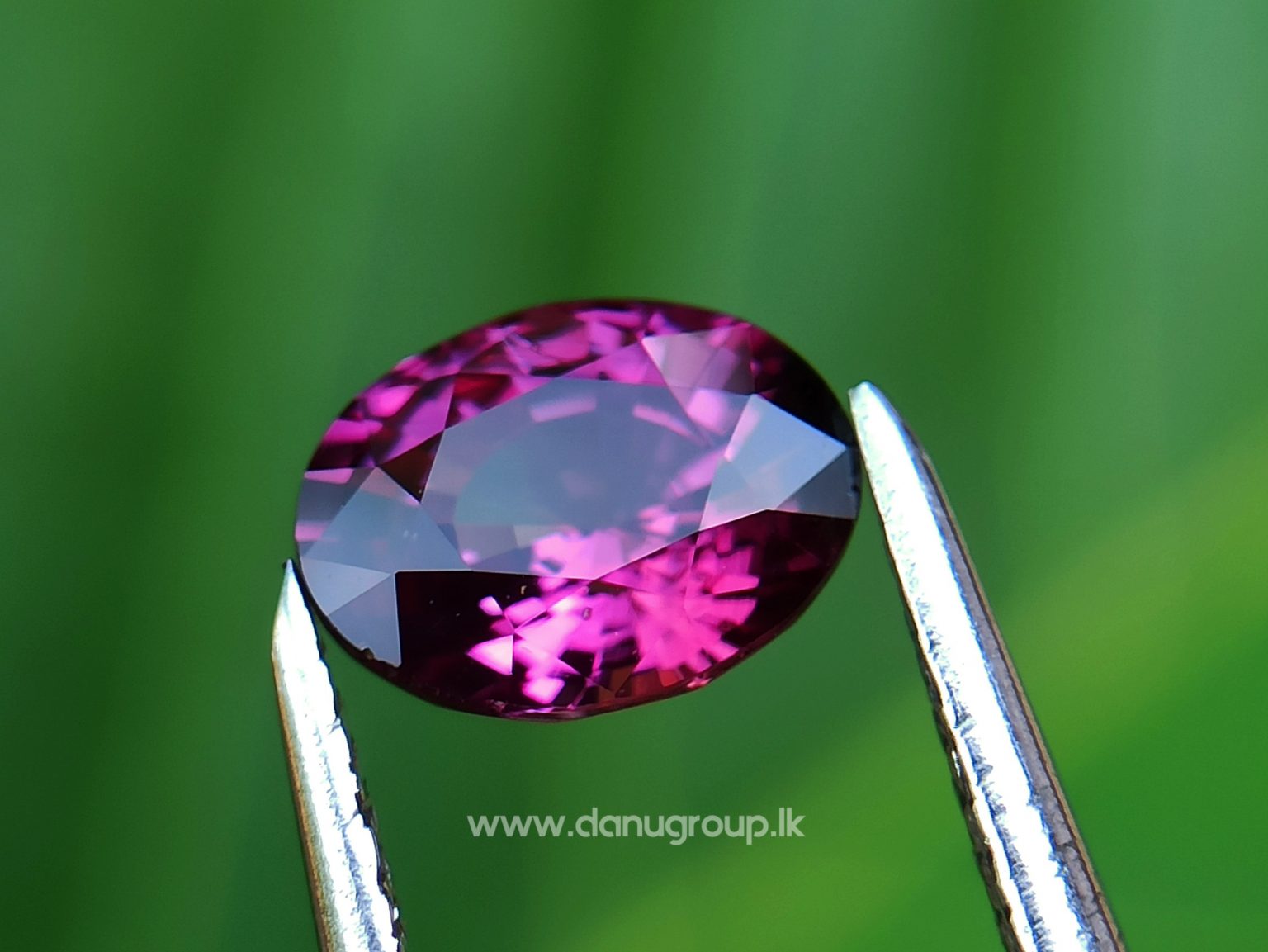 Natural Ruby King of the gems Danu group Gemstones Collection