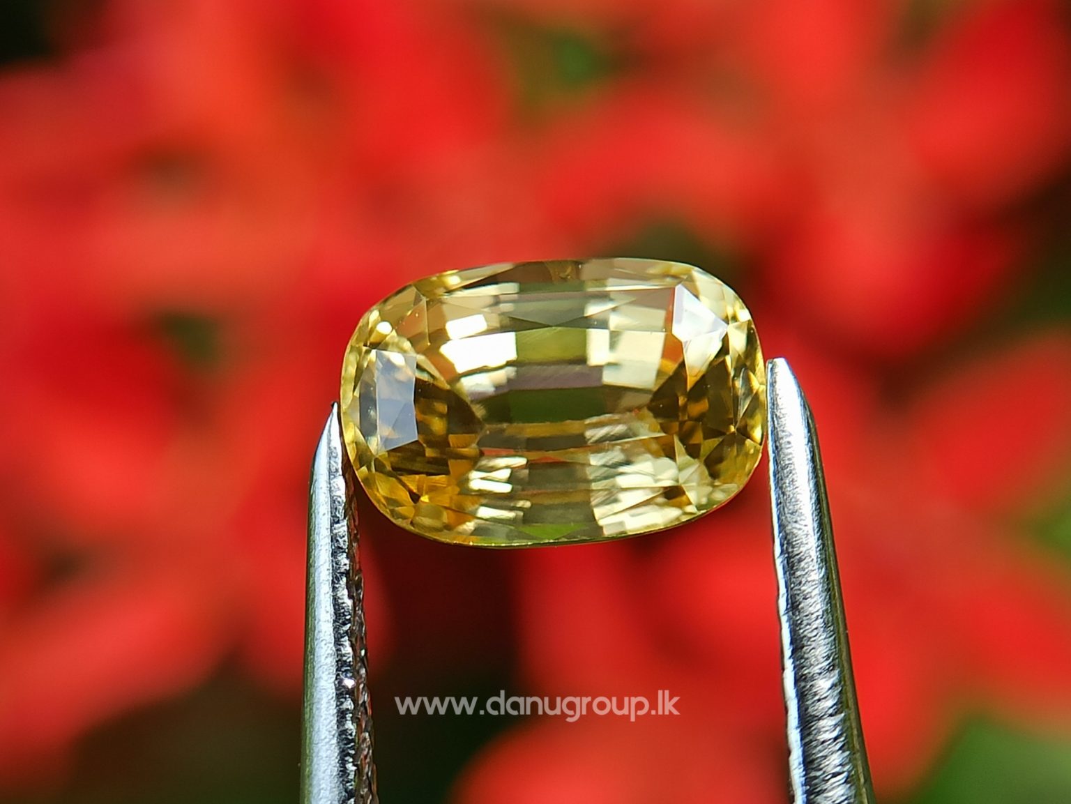 Ceylon Natural Top Grade Yellow Sapphire danugroup Gemstones - danugroup.lk