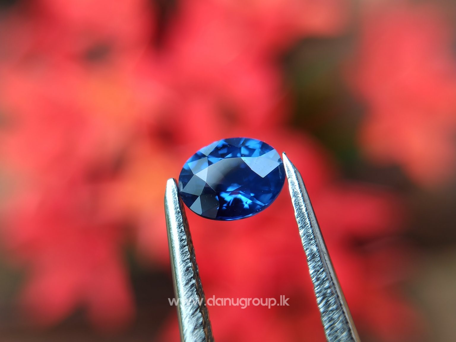 Ceylon Natural Vivid Royal Blue Sapphire Pair Danu Group Gemstones Collection - danugroup.lk