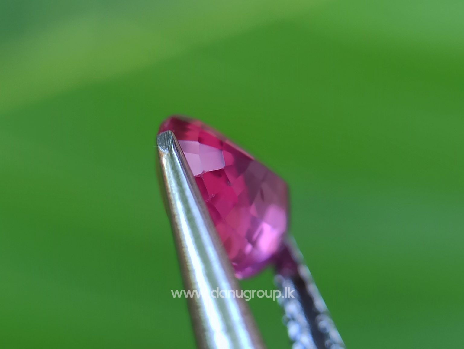 Hot Pink Sapphire Vibrant Pink Color Bubble Gum Pink Colour Sapphire Danu Group gemstones danugroup.lk