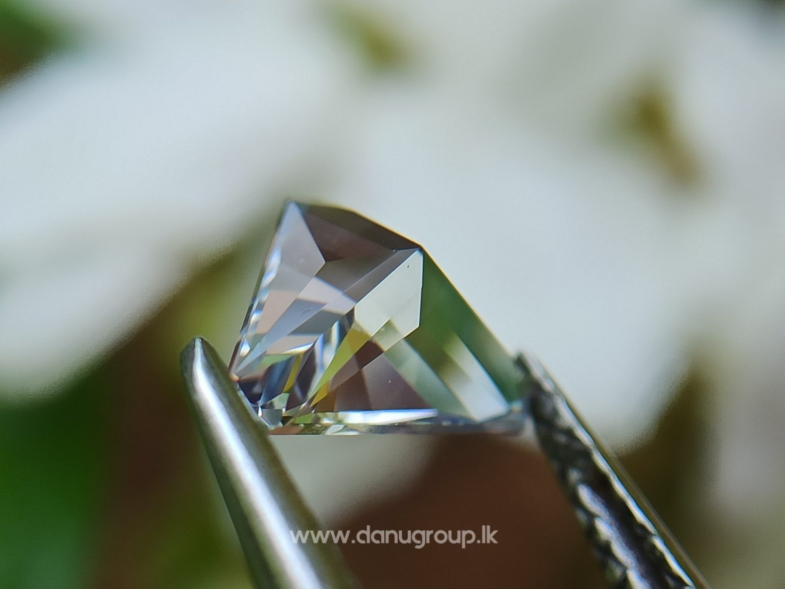 danugroup.lk - Ceylon Natural Bi-Color Sapphire from Danu Group Gemstones Collections