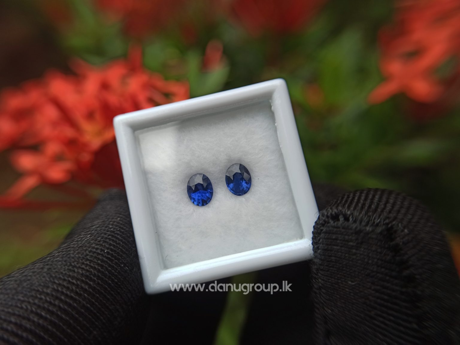 Ceylon Natural Vivid Royal Blue Sapphire Pair Danu Group Gemstones Collection - danugroup.lk