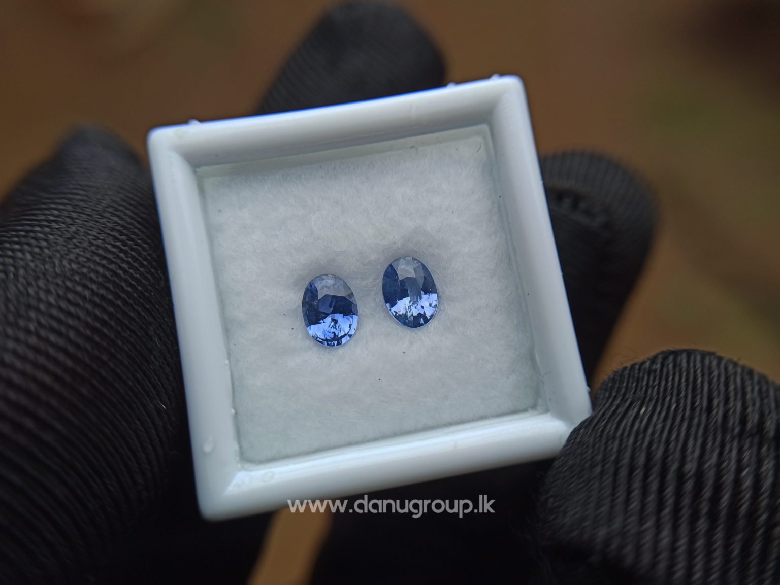 Ceylon Natural Blue Sapphire Pair for Earrings - danugroup.lk