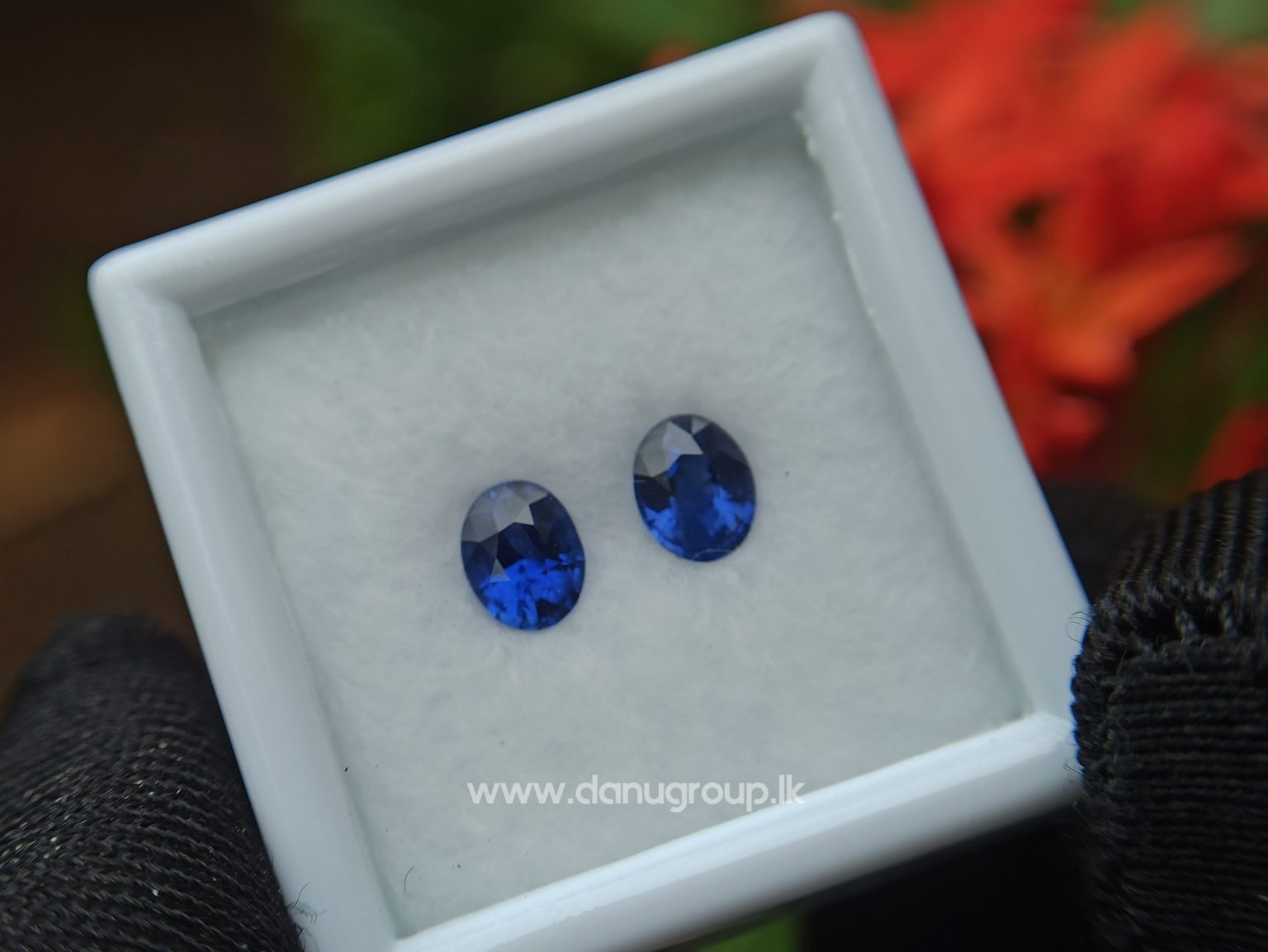 Ceylon Natural Vivid Royal Blue Sapphire Pair Danu Group Gemstones Collection - danugroup.lk