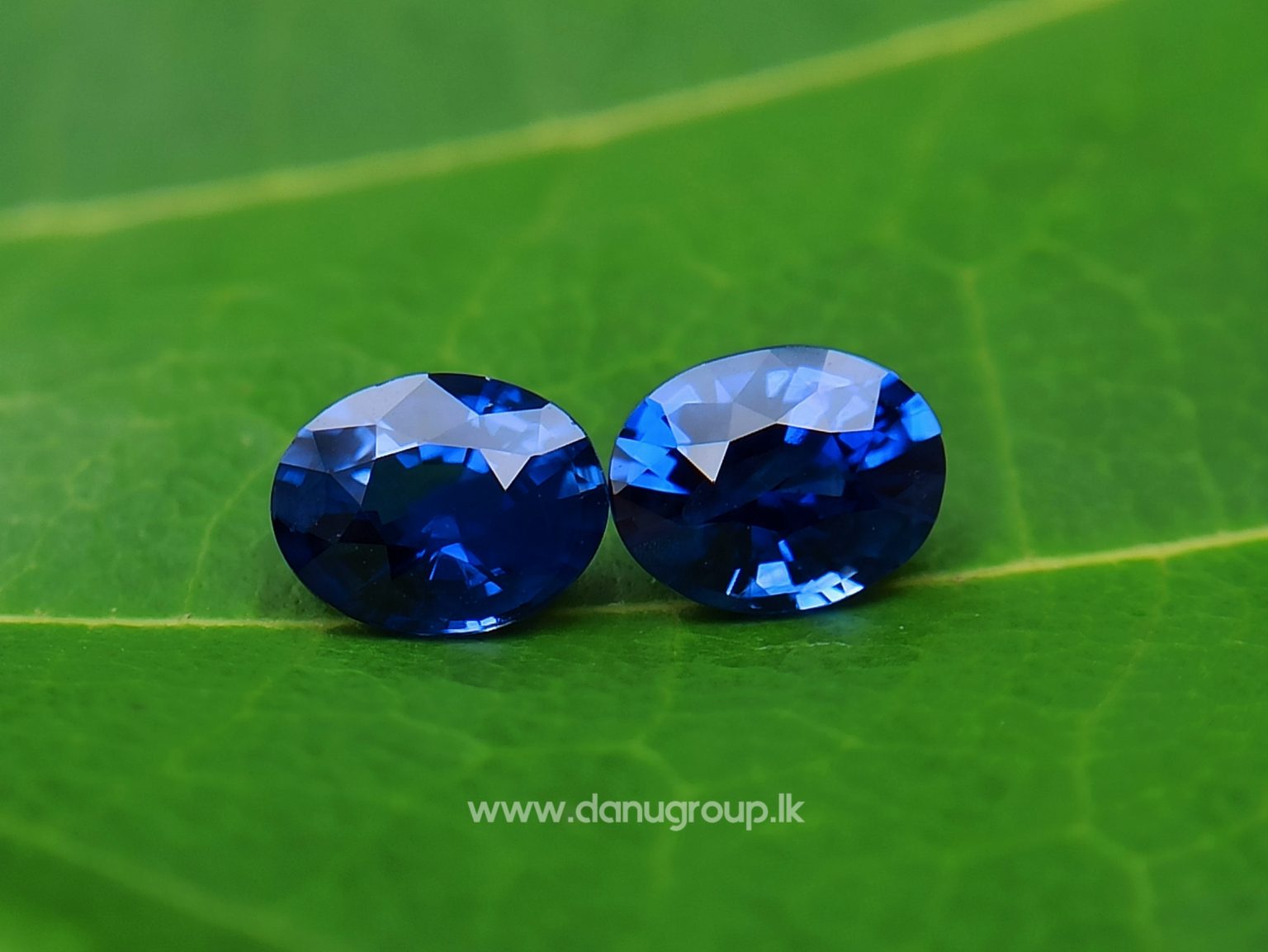 Ceylon Natural Vivid Royal Blue Sapphire Pair Danu Group Gemstones Collection - danugroup.lk