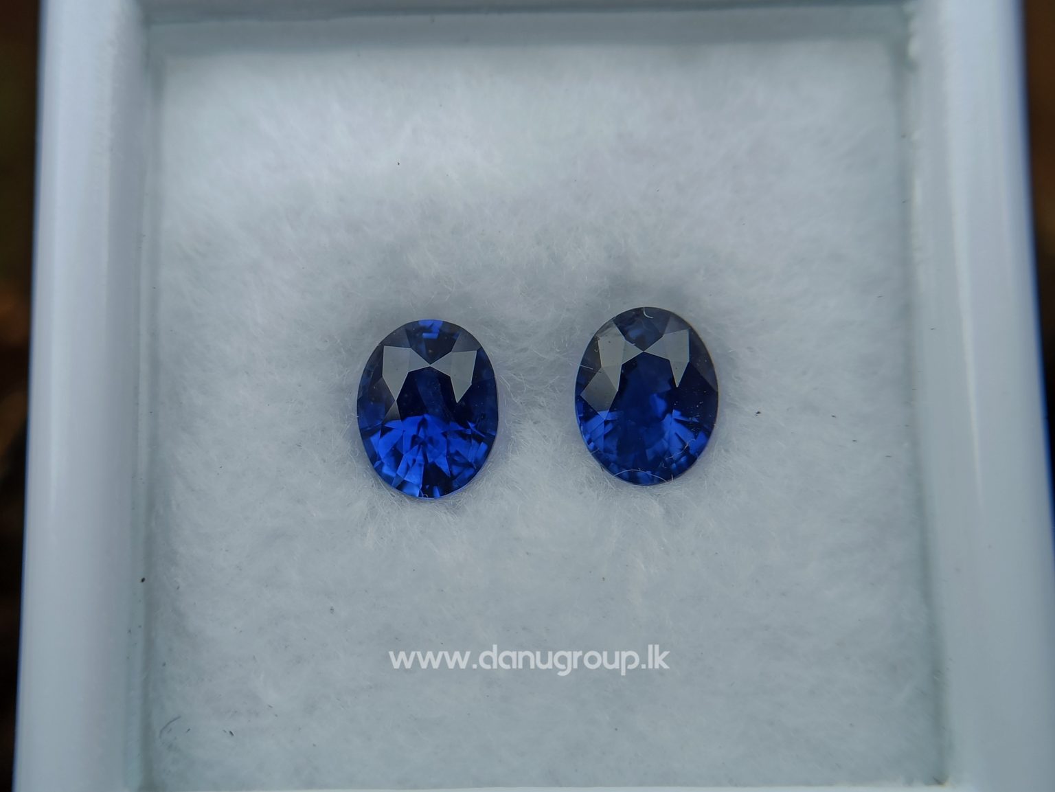Ceylon Natural Vivid Royal Blue Sapphire Pair Danu Group Gemstones Collection - danugroup.lk