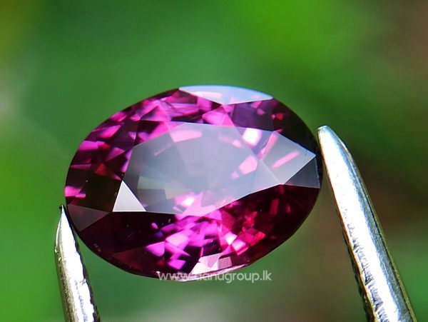 Natural Ruby King of the gems Danu group Gemstones Collection