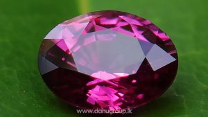 Natural Ruby King of the gems Danu group Gemstones Collection