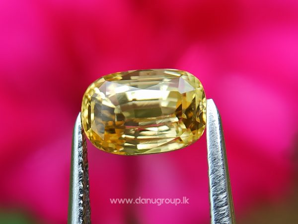 Ceylon Natural Top Grade Yellow Sapphire danugroup Gemstones - danugroup.lk