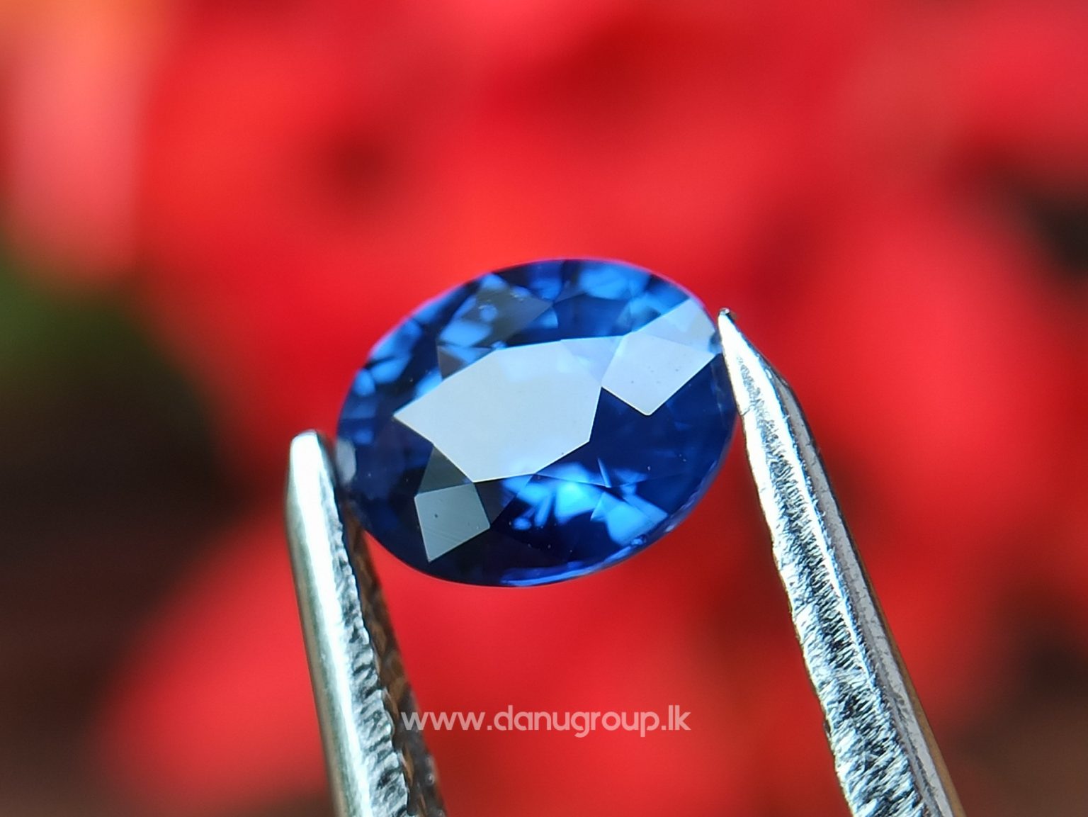 Ceylon Natural Vivid Royal Blue Sapphire Pair Danu Group Gemstones Collection - danugroup.lk