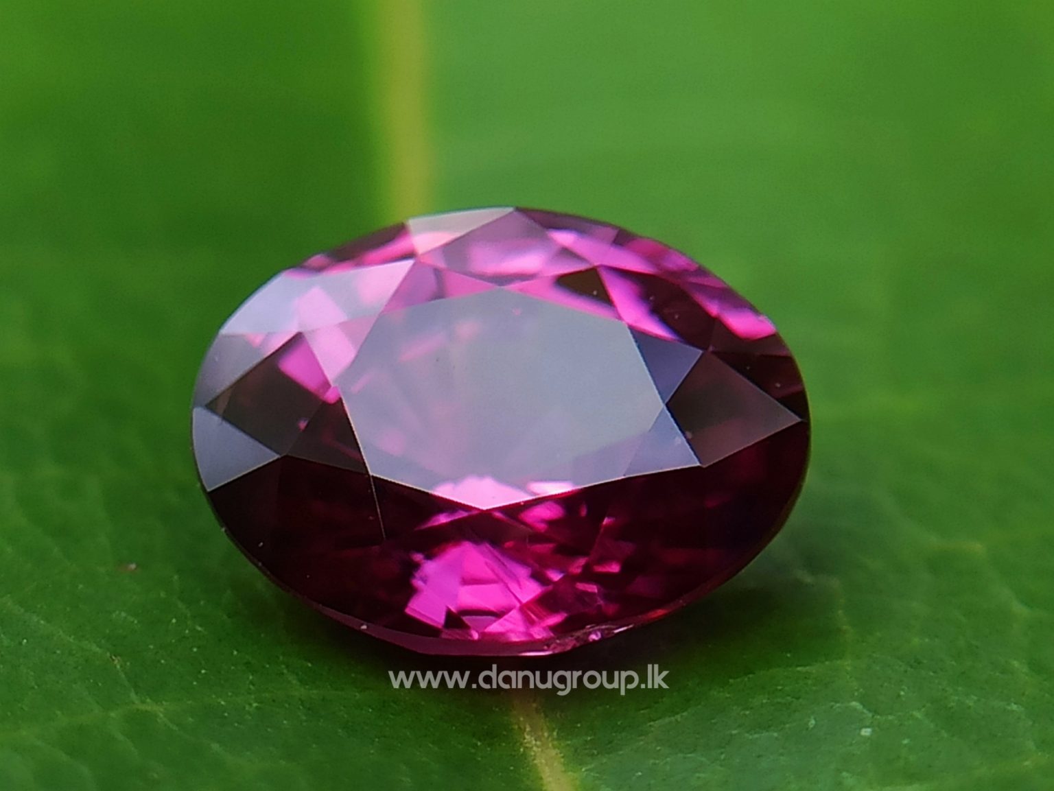 Natural Ruby King of the gems Danu group Gemstones Collection