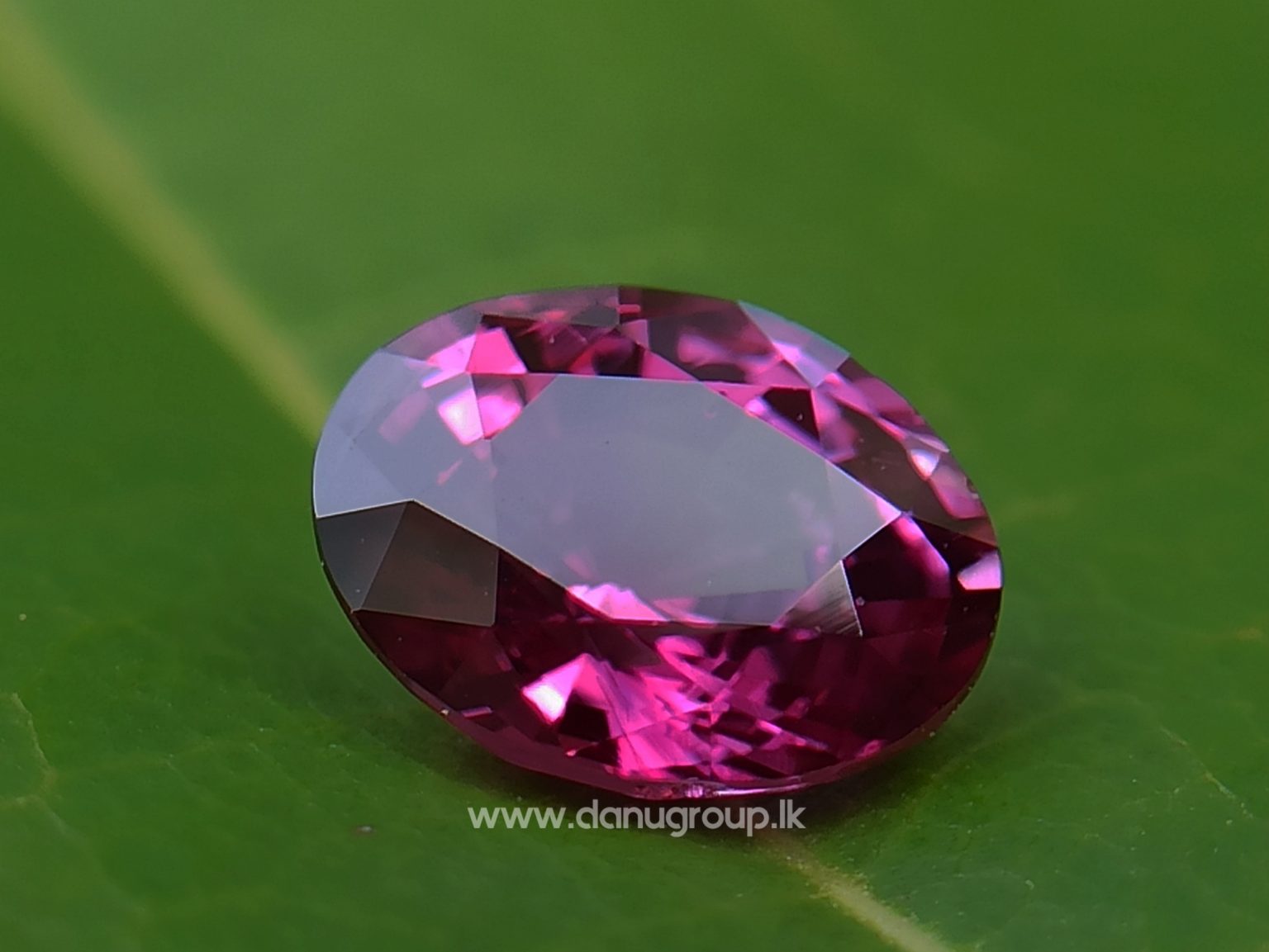 Natural Ruby King of the gems Danu group Gemstones Collection