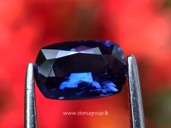 Ceylon Natural Vivid Royal Blue Sapphire Best Grade Unheated Gemstones - danugroup.lk